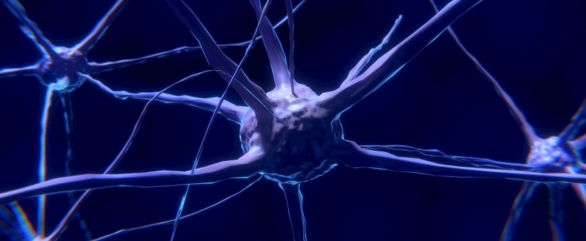 Computer generated image of a nerve cell