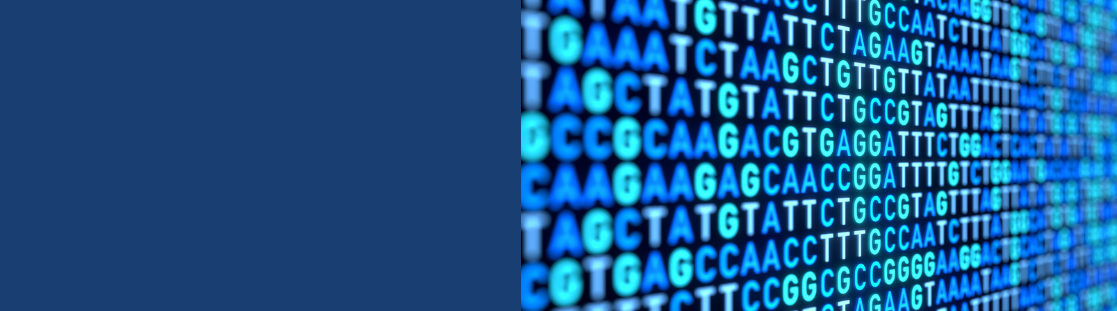 DNA digital screen