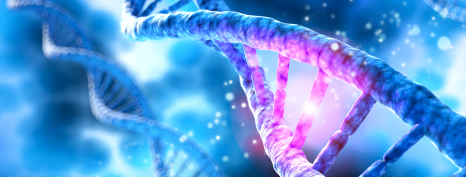 dna strand