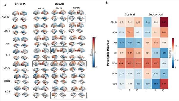 Figure 3. Correlation between ENIGMA and GEDAR brain maps (calculated from both up- and down-regulated TWAS genes).