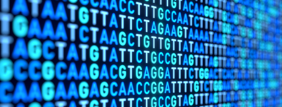 DNA data on screen